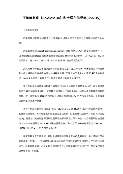 厌氧氨氧化(ANAMMOX)和全程自养脱氮(CANON)
