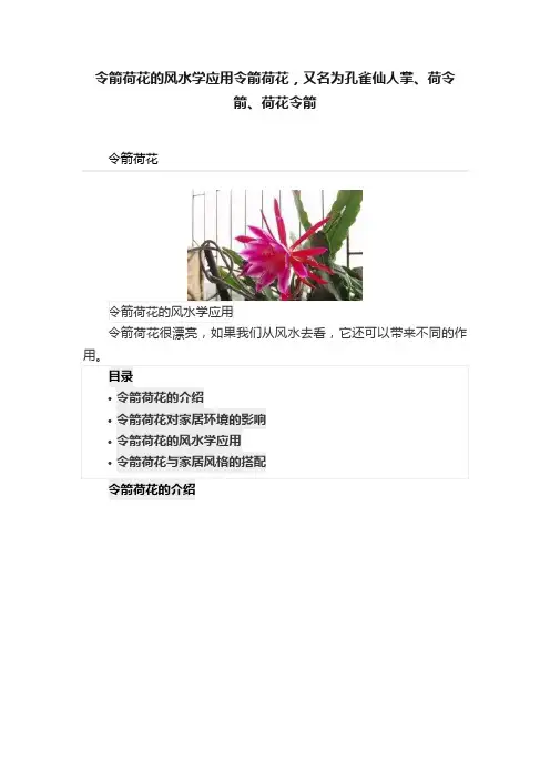 令箭荷花的风水学应用令箭荷花，又名为孔雀仙人掌、荷令箭、荷花令箭