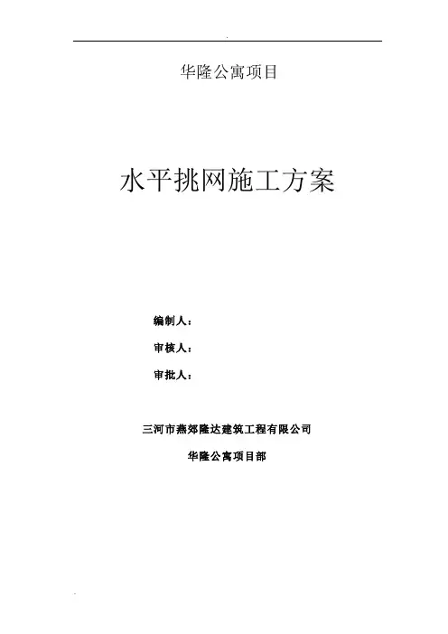 水平挑网施工方案