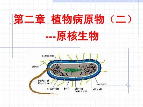 2第二章 原核生物-1