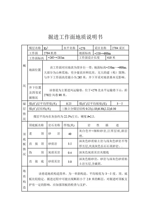 掘进地质说明书