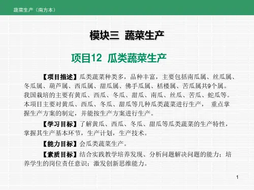 《蔬菜生产》课件——项目12  瓜类蔬菜生产