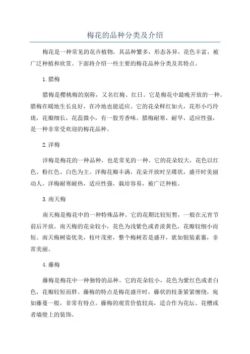 梅花的品种分类及介绍