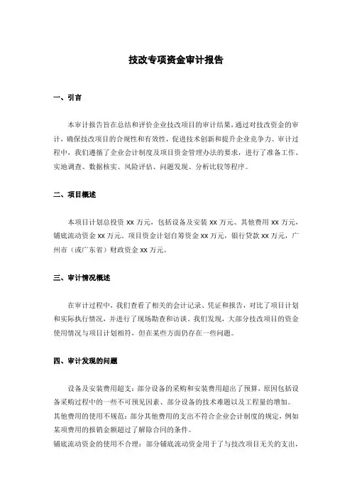技改专项资金审计报告
