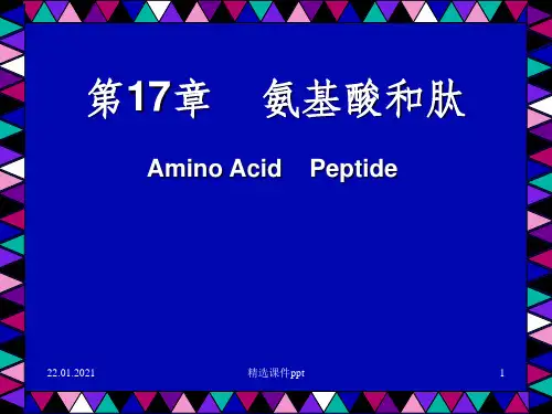 《氨基酸和肽》PPT课件 (2)
