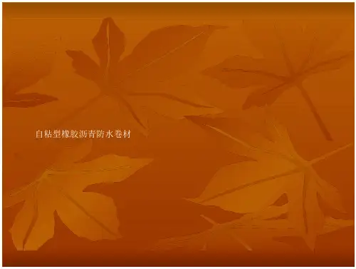 [宝典]的自粘型橡胶沥青防水卷材-