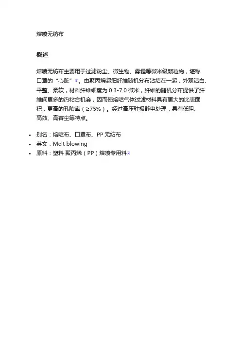 熔喷布和无纺布培训资料.doc