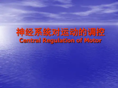 神经系统对运动的调控PPT课件