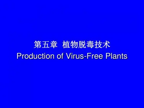第五章 植物脱毒技术