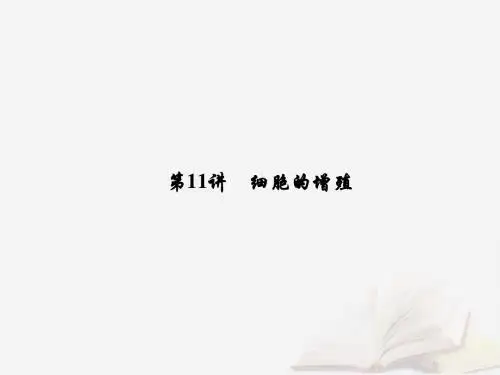 高考生物一轮复习第四单元细胞的生命历程第11讲细胞的增殖课件新人教版