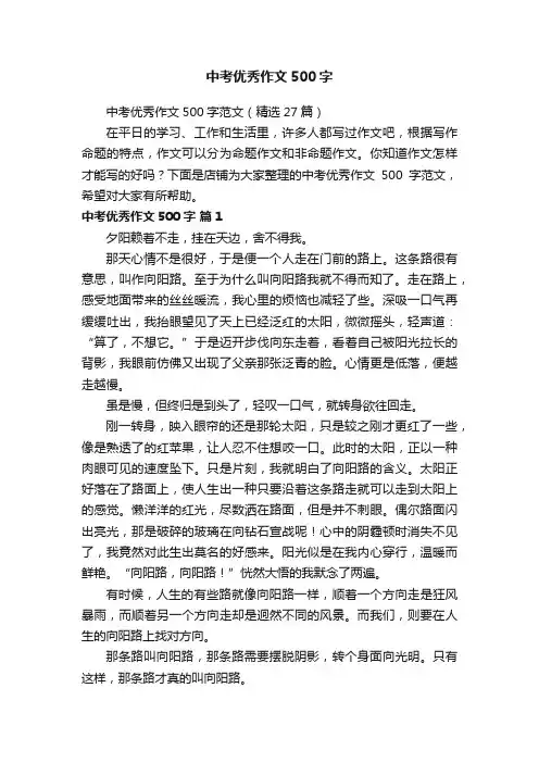 中考优秀作文500字
