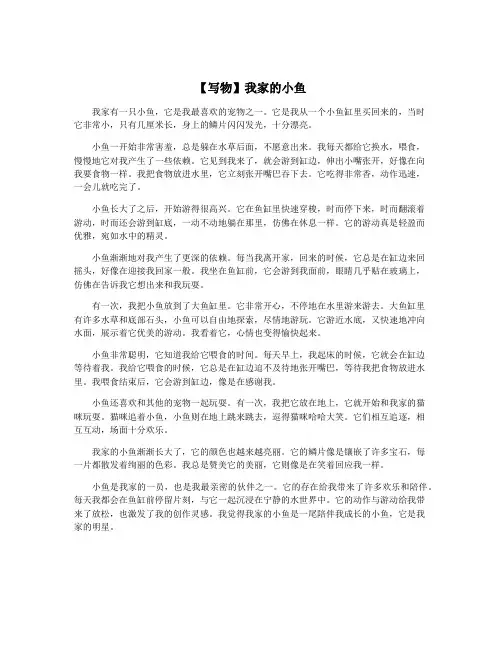 【写物】我家的小鱼