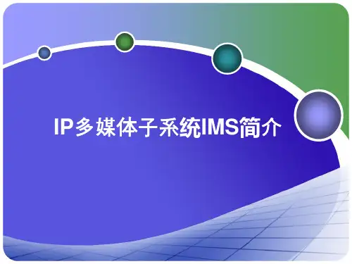 IMS简介__含网络拓扑