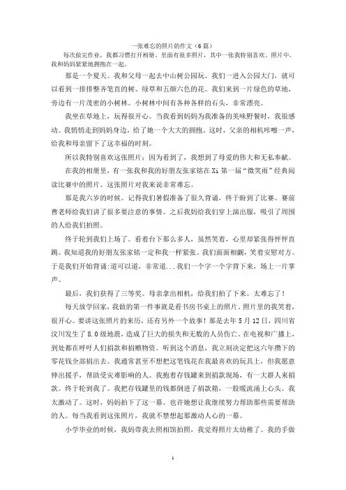 一张难忘的照片的作文(6篇)