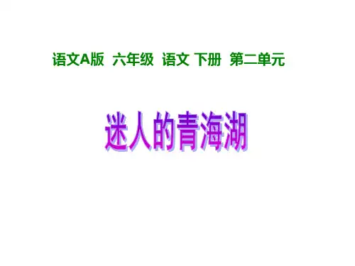 六年级语文迷人的青海湖课件