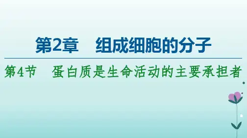 新教材人教必修1课件蛋白质是生命活动的主要承担者