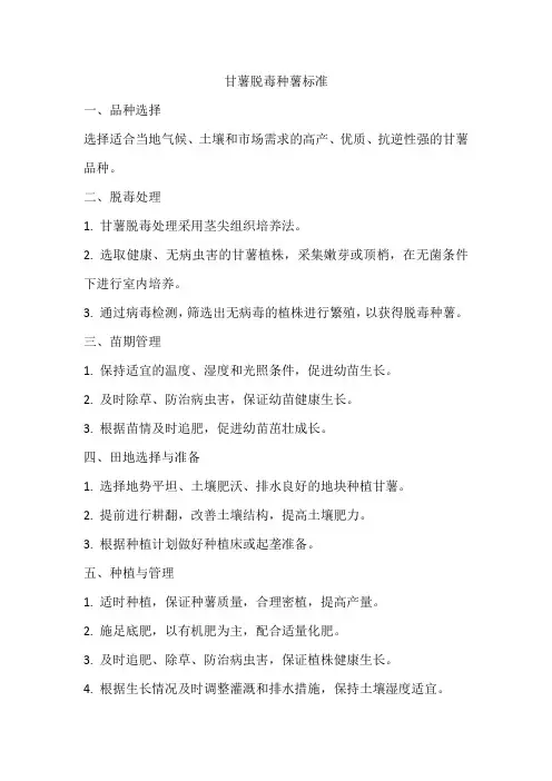 甘薯脱毒种薯标准