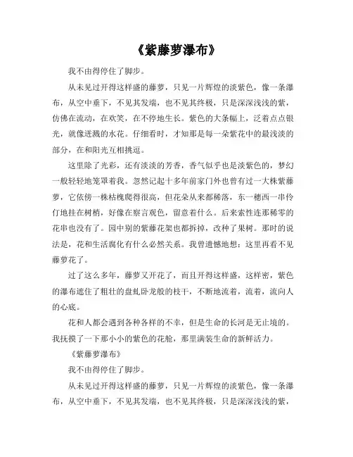 宗璞《紫藤萝瀑布》原文阅读