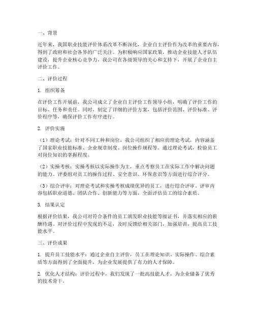 企业自主评价总结范文