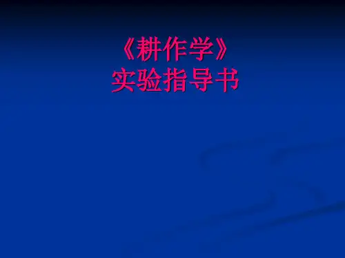 耕作学实验(实验一)