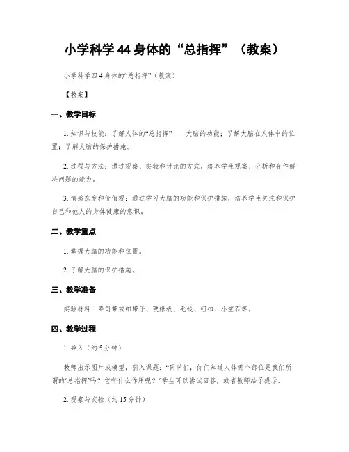 小学科学44身体的“总指挥”(教案)