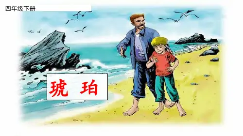 四年级下册《琥珀》课件   完美版