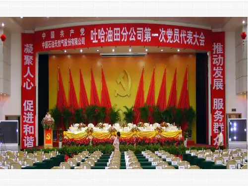 党支部换届选举工作.ppt