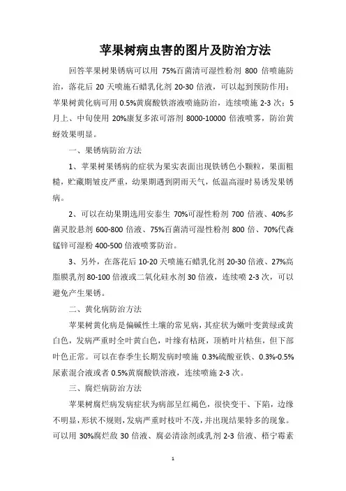 苹果树病虫害的图片及防治方法