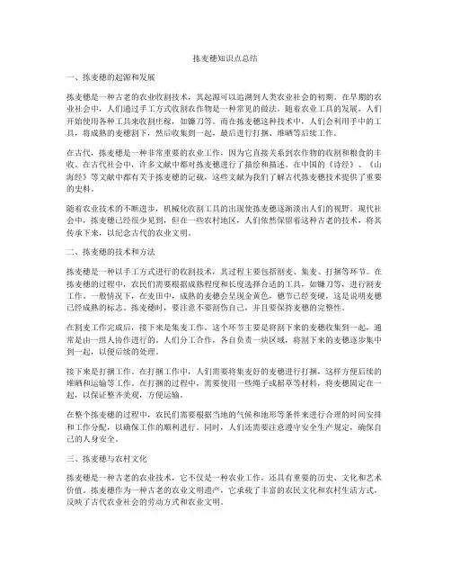 拣麦穗知识点总结