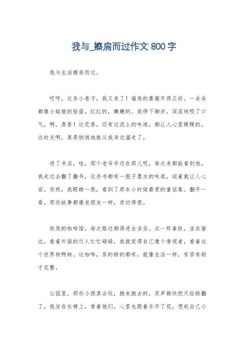 我与_擦肩而过作文800字