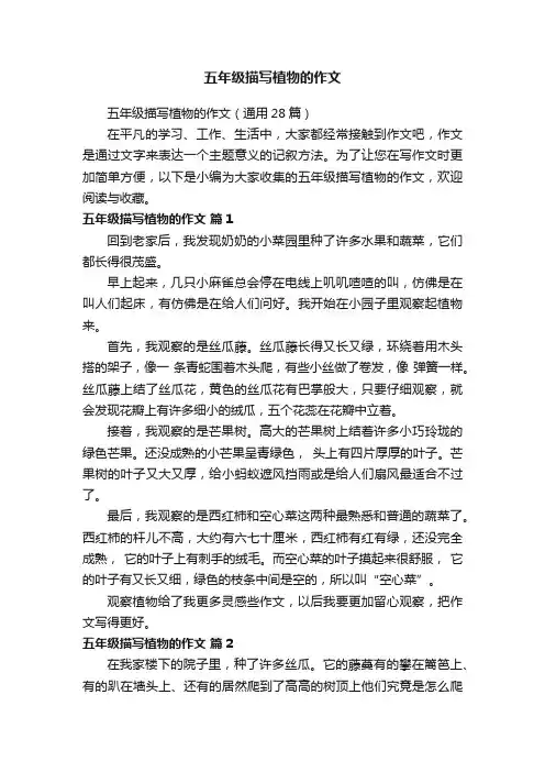 五年级描写植物的作文（通用28篇）