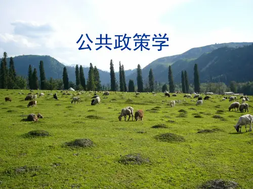 ●课件1：第一章 公共政策学与公共政策学概述