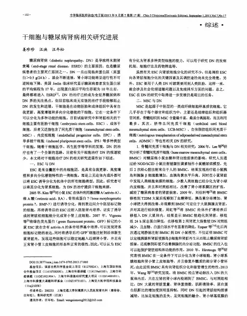 干细胞与糖尿病肾病相关研究进展