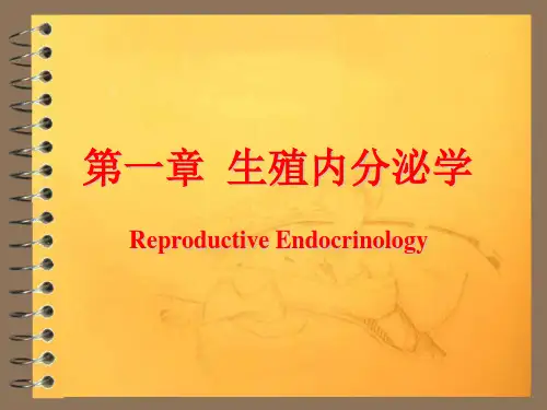 兽医产科学之生殖内分泌