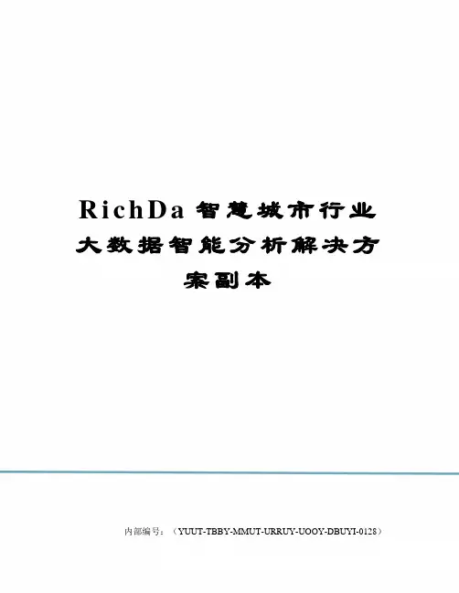 RichDa智慧城市行业大数据智能分析解决方案副本