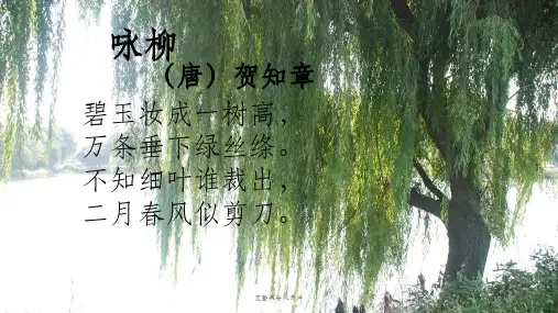 回乡偶书ppt课件