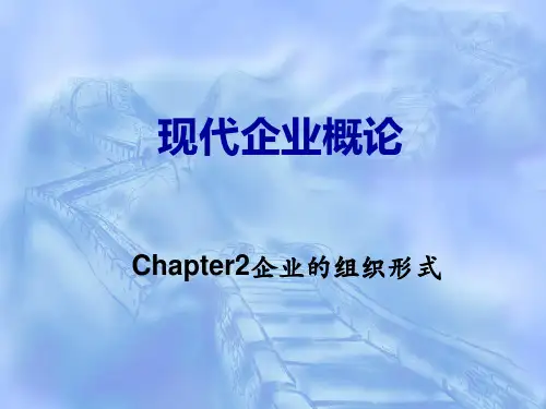 企业的组织形式概述(PPT 71张)