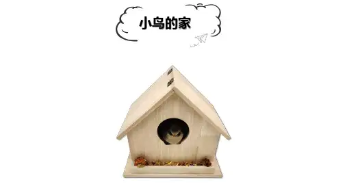 小鸟的家-科学小制作