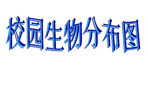 校园生物分布图ppt