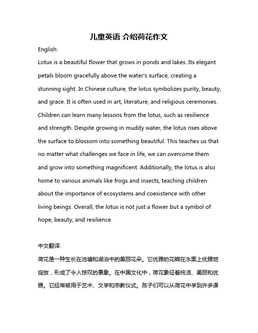 儿童英语 介绍荷花作文