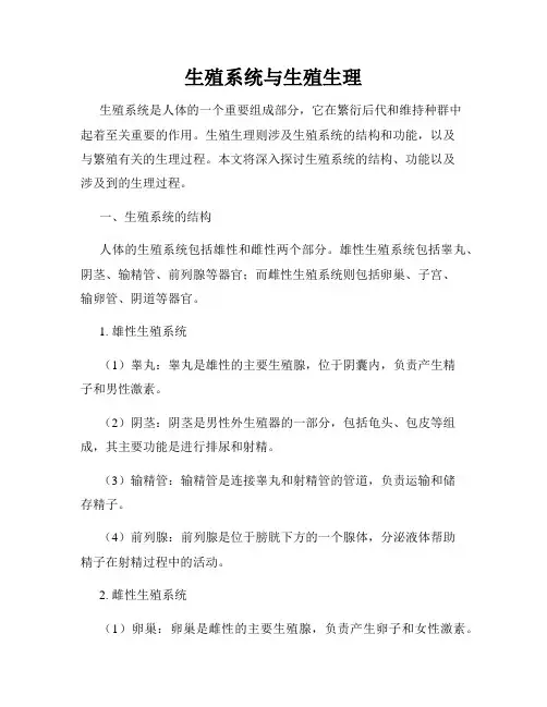 生殖系统与生殖生理