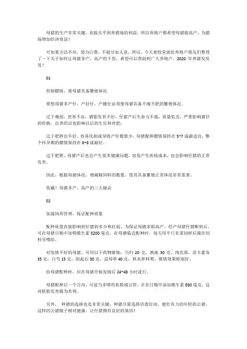 母猪多产、高产的三大秘诀
