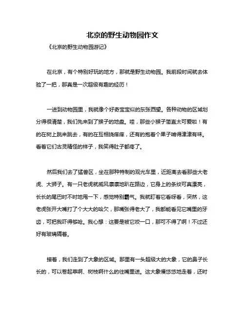 北京的野生动物园作文