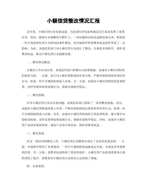 小额信贷整改情况汇报