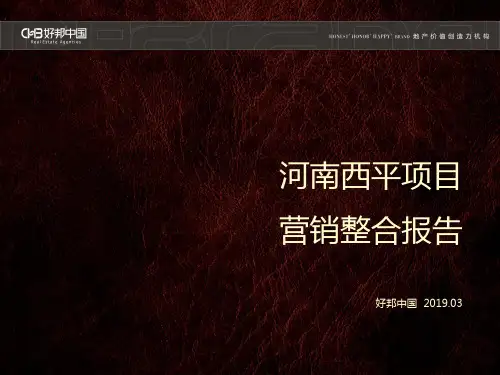 2019年河南西平项目价值整合报告终极版57p 共58页