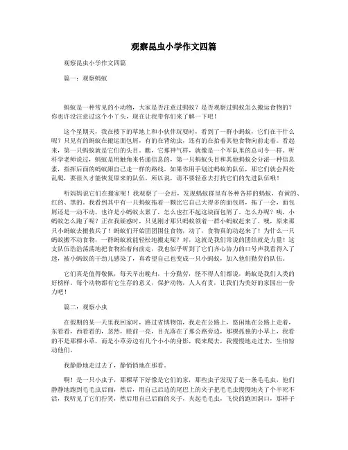 观察昆虫小学作文四篇