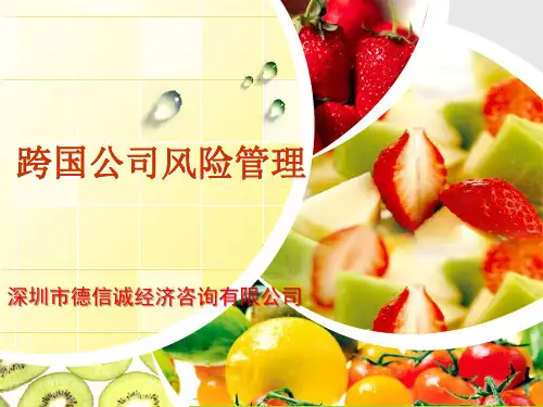 跨国公司风险管理