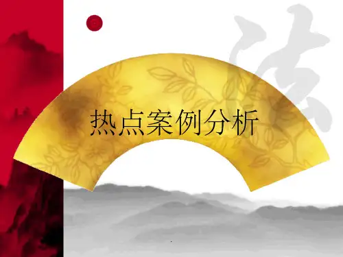 刑法热点案例分析ppt课件