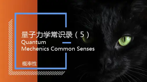 量子力学常识(5)——概率性
