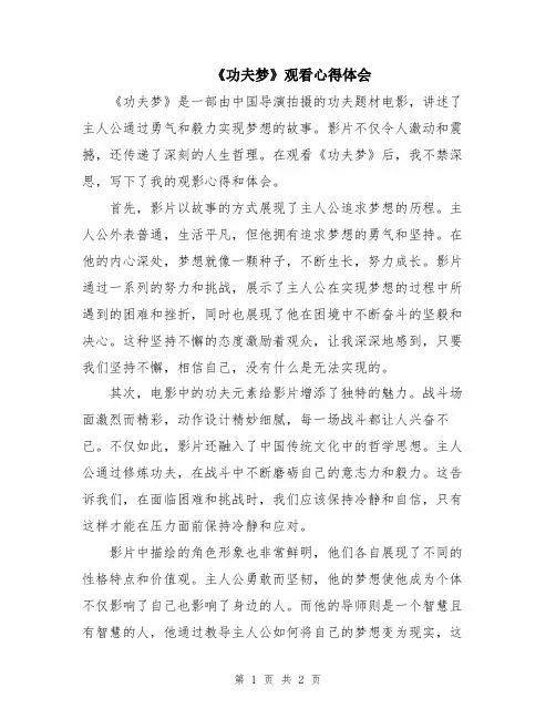 《功夫梦》观看心得体会